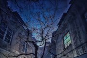 <p>
	<span style="font-size:12px;"><span style="font-family:times new roman,times,serif;">Jurgita Staučienė<br />
	VILNIAUS SAPNAI<br />
	2024 01 07 - 2024 01 27</span></span></p>
